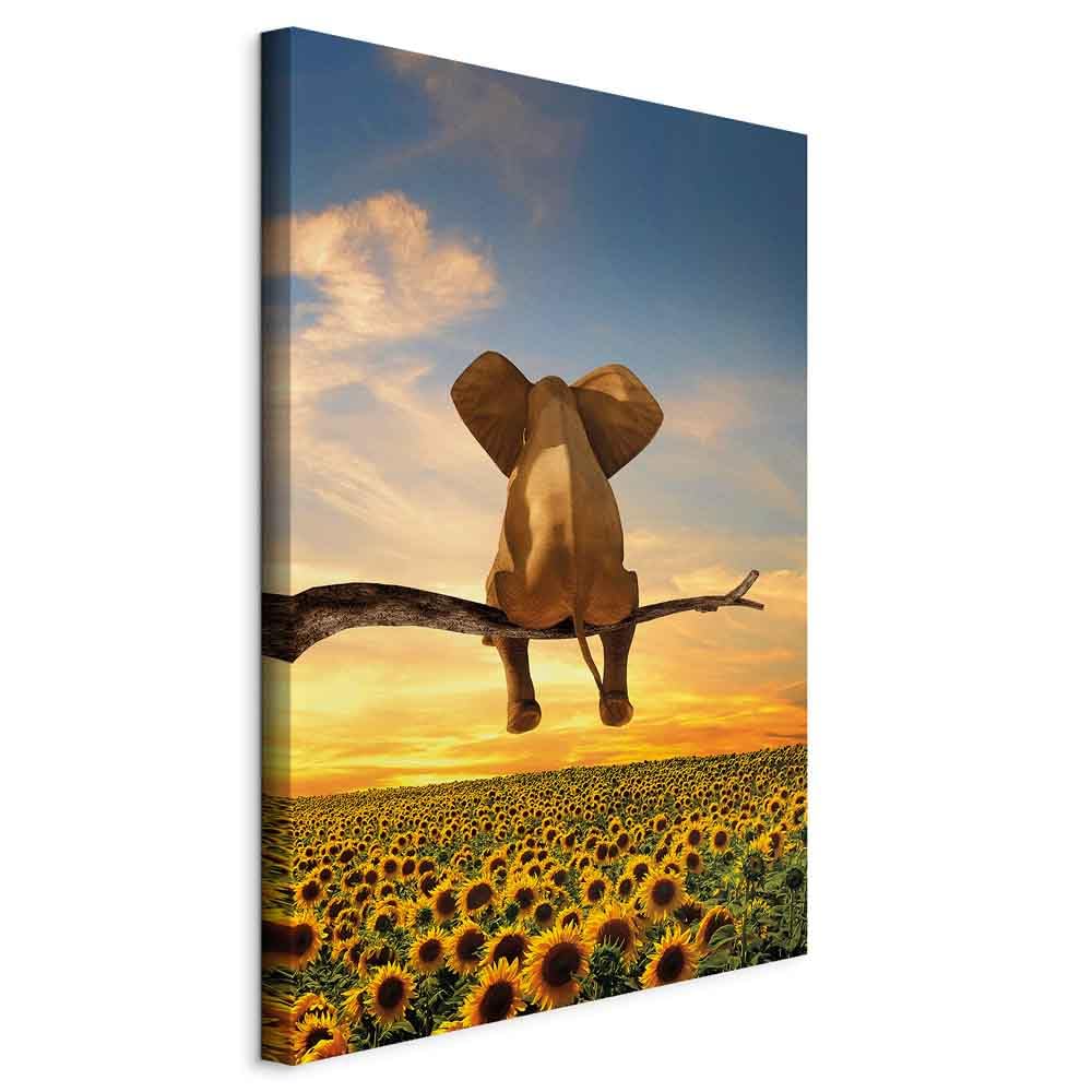 Tableau acoustique animal 80x120 murando éléphant impression toile
