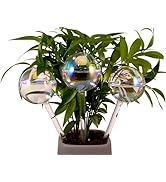 GLOBI AUTOIRRIGANTI ATTREZZI Per Annaffiatore Di Piante Pianta Succulente EUR 9,83 - FR