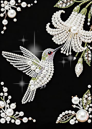 Morudeor Hummingbird Diamond Art Pearl Painting Kits for Adults Special Shape Diamond Art Kits for Birds Flowers DIY 3D Plastic Pearl Painting Kit for Home Decoration 12 16 inch