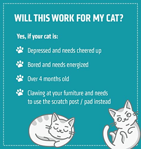 Cat-Crack-Catnip-100-Natural-Cat-Nip-Blend-That-Energizes-and-Excites-Cats-Safe-Non-Addictive-Catnip-Treats-Used-for-Cat-Play-Cat-Training-New-Catnip-Toys-Cat-Tree-Cat-Bed-1-Cup