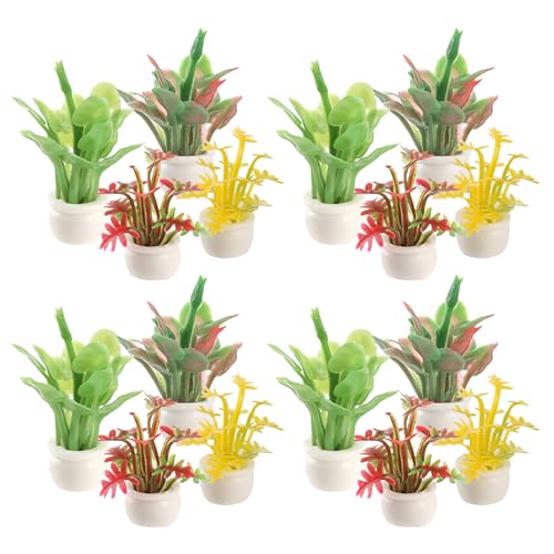 HEALSOPTHY 16~j`AlHϗtA h[nEXpW~j~ tFCNO[ I[ig ͋[A CeA ~j