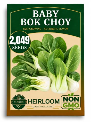Baby Bok Choy Seeds for Planting, 2049+ Seeds, Brassica Rapa