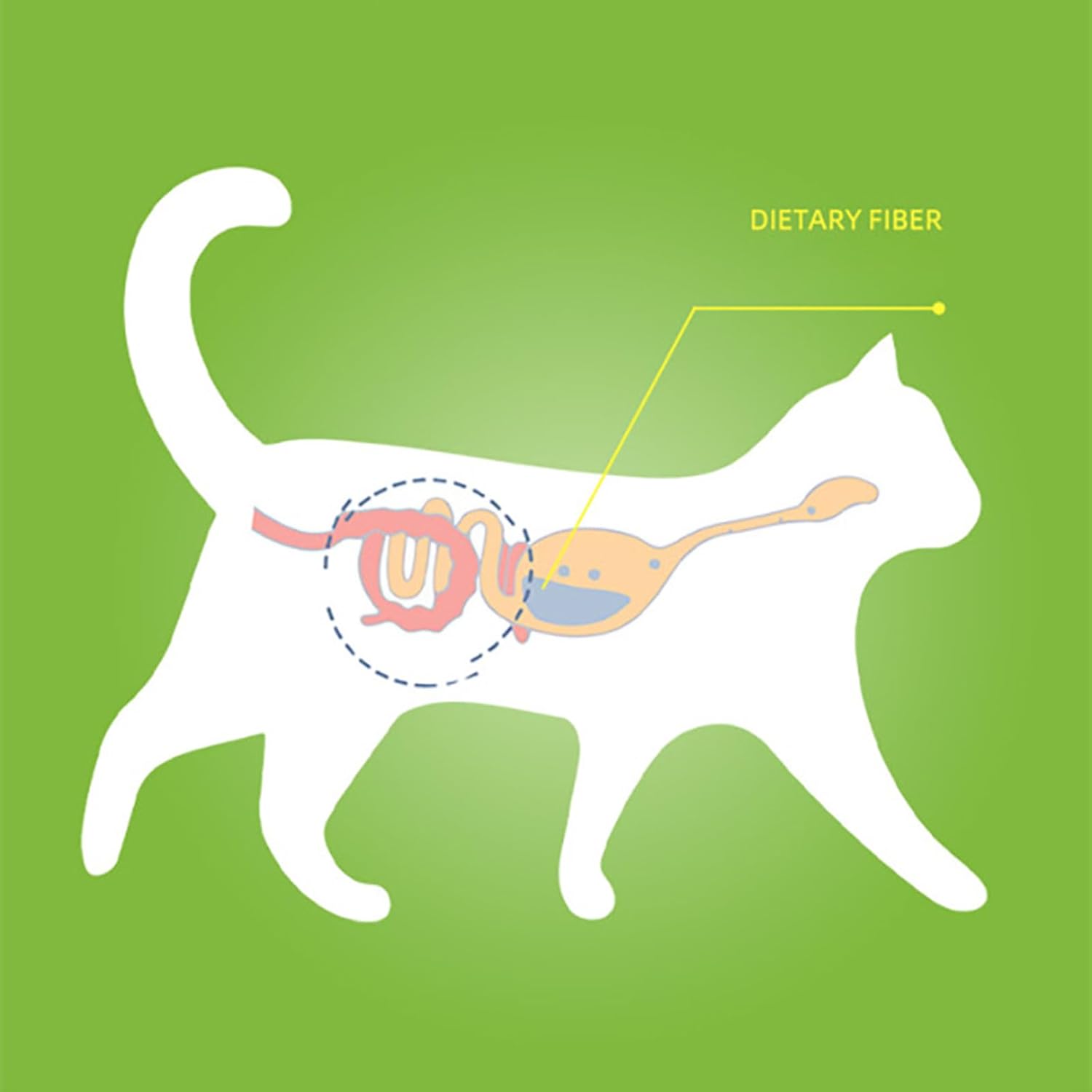 PTILSERY 1 Box Grass Kitten Natural Grass Chews Appetites Increase Hairball Control Health Licking Treats 9 51pB2SOETTL. AC SL1500