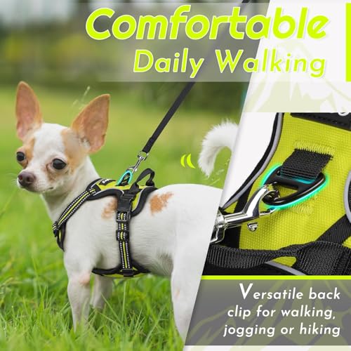 Image of Eagloo Dog Harness for Small Dogs, No Pull Pet Vest with 2 Leash Clips