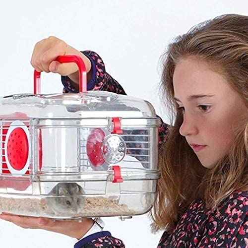 Zolux Käfig für Hamster, Mäuse, Rennmäuse, 3 Zoll Mini, 1 Unité (Lot de 1)
