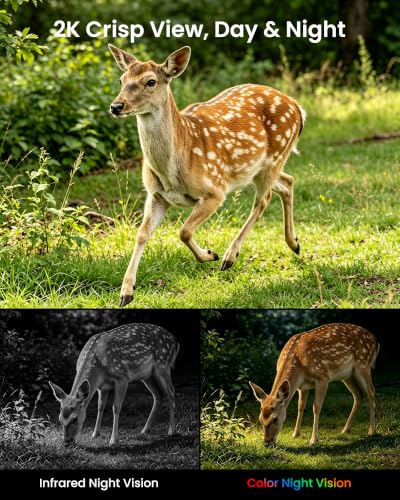 Cinnado 4G LTE Trail Camera, Solar Wireless Outdoor, Game Camera 2K No WiFi - image 9