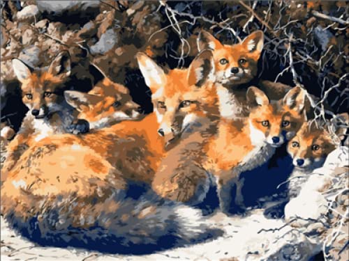 Peinture au Diamant 5D Renard 30x40cm pour Activité Manuelle Adulte