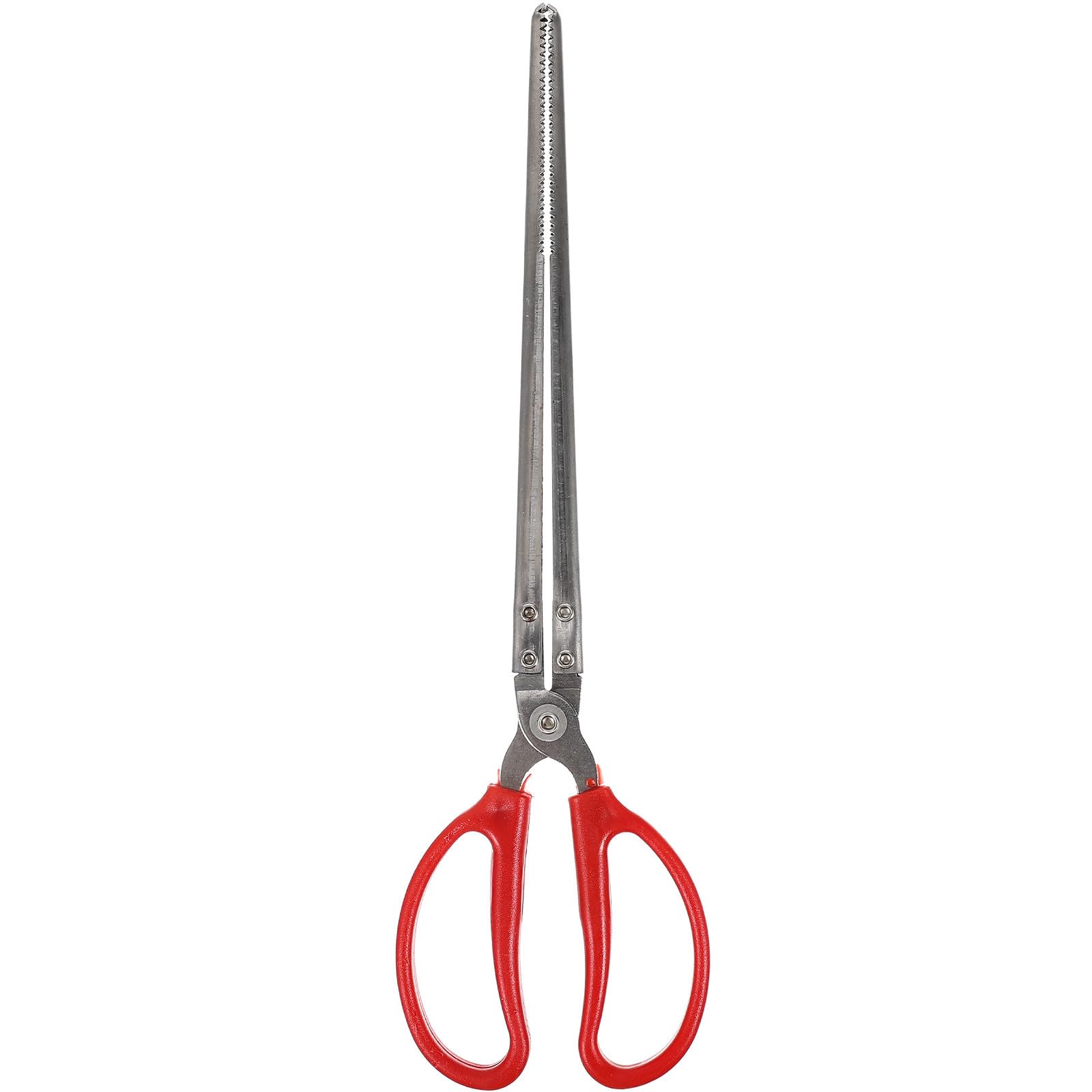 Pinza para pesca de anguila y pulpo de acero inoxidable y ABS ligera para el hogar
