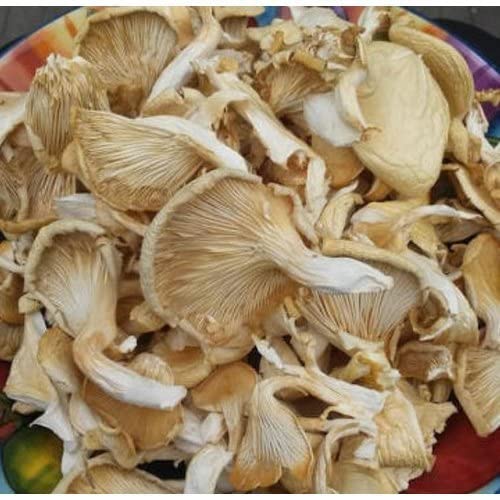 Nourish Your Body with Dry Oyster Mushroom 1kg: Wholesome and Delicious Mushroom Delights (B09XDMHH7J) Amazon Price History, Amazon Price Tracker
