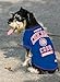 MLB Chicago Cubs Dog T-Shirt, Small. - Licensed Shirt for Pets Team Colored with Team Logos. - Premium Stretchable Materials for The Comfort of Your Dog & cat.