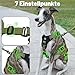 Paworld Sicherheitsgeschirr Hund, Anti Zug Hundegeschirr, Panikgeschirr für Hunde, Ausbruchsicheres Geschirr Hund, Verstellbare, Atmungsaktiv Weste für kleine, mittelgroße und große Hunde (Grün,S)