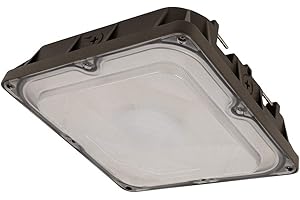 FEIT ELECTRIC 10" Glass Canopy Light