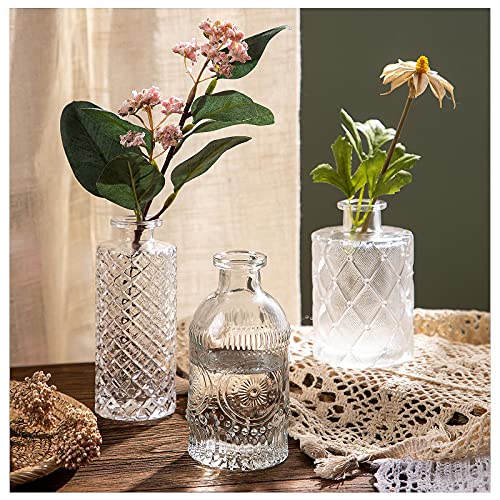 WILDMOS Glass Bud Vase Set of 3, Gradient...