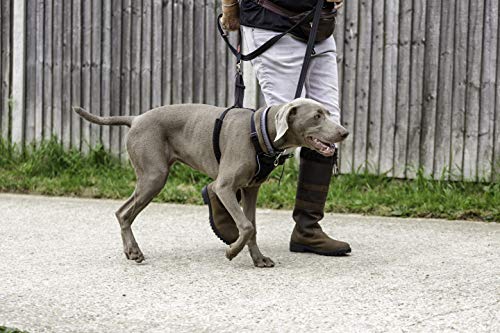 Image of Halti No Pull Dog Harness | Size L, Black