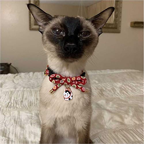 Necoichi Zen Hariko Charm Cat Collar (Red) #TOP7