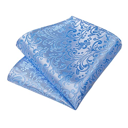 Image of DiBanGu Silk Floral Ties for Men Woven Paisley Necktie and Tie Clip Handkerchief Cufflinks Set for Party Wedding