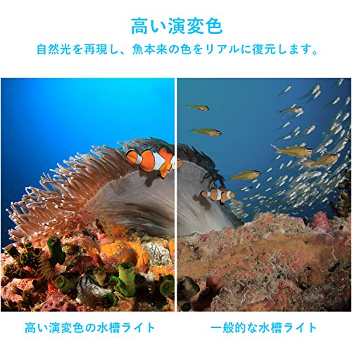 LEDGLE 水槽ライト 10W アクアリウム ライト 56LED YGD-56LED の商品画像 4