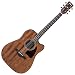 Ibanez AW54CE Artwood Dreadnought