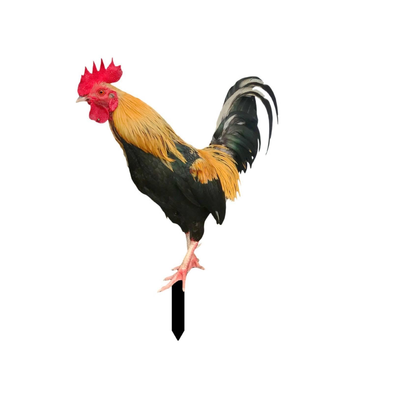 Acrylic Cockerel Garden Stake | Double-Sided, Outdoor, cockerel Yard Sign with Ground Stake, for Flower Bed a-image-31
