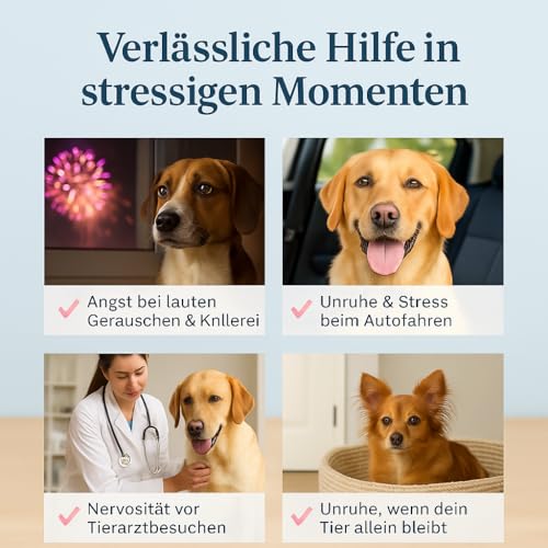 naturacbd Hanföl für Hunde & Katzen 1000mg – Hanföltropfen aus Hanfsamenöl, Zur Unterstützung von Fell & Wohlbefinden – Beruhigungsmittel für Hunde und Katzen natürliche Entspannung