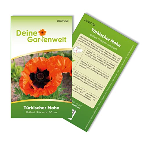 Türkischer Mohn Brillant Samen - Papaver orientale -Mohnsamen - Blumensamen - Saatgut für 80 Pflanzen