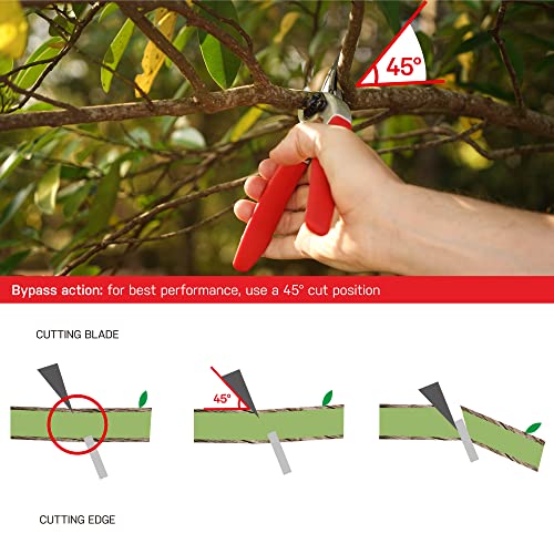 Tijeras de podar ajustables Eden 39002 para ramas miniatura 5