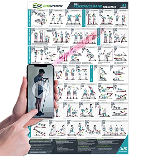 EverStretch WiderstandsbandPoster für das Fitnessstudio zu Hause – mit VideoAnleitung – groß 58,4 x 88,9 cm | laminierte WorkoutDiagramm | WiderstandsbandWorkoutPoster für das Fitnessstudio zu