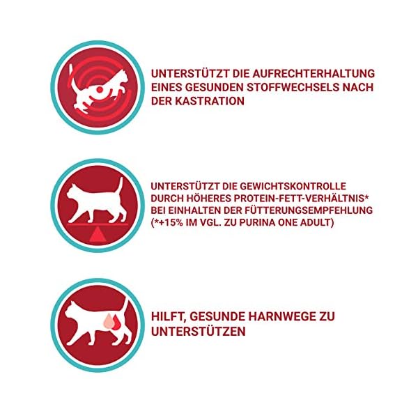 PURINA ONE Sterilcat reich an Rind und Weizen, 4 x 3kg – Bild 4