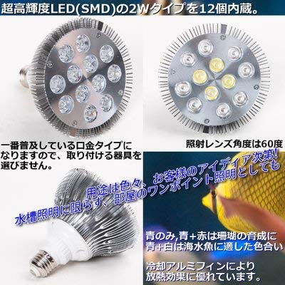 Amazon.co.jp: 24W LEDライト アクアリウムライト 珊瑚 水草