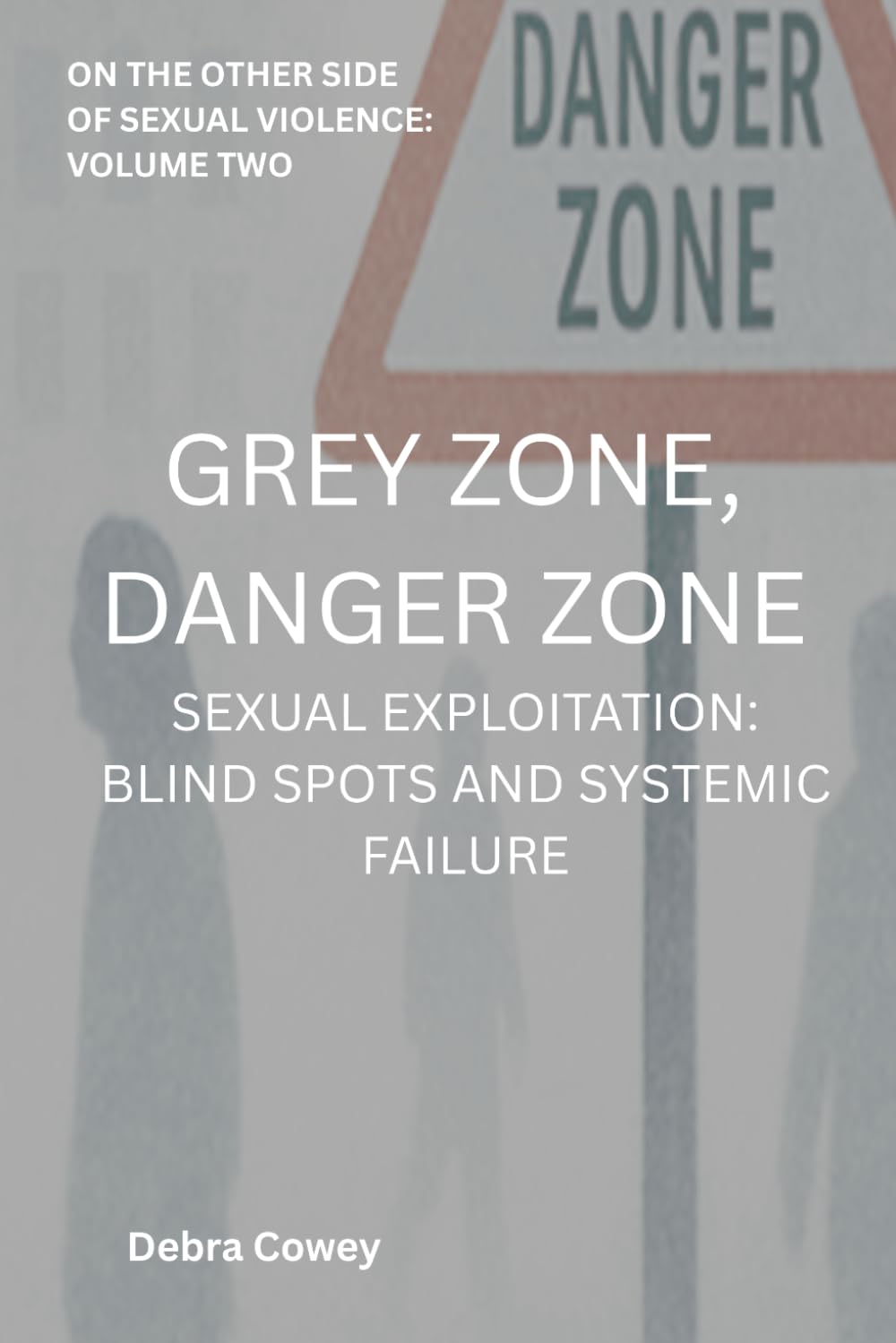 GREY ZONE DANGER ZONE: SEXUAL EXPLOITATION, BLINDSPOTS, AND SYSTEMIC FAILURE (On the Other Side of Sexual Violence)
