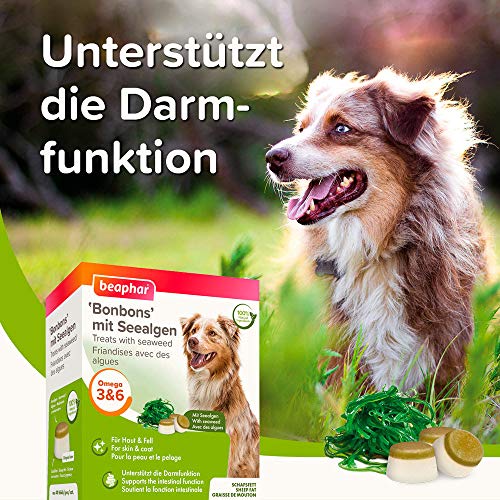 BEAPHAR - 'Bonbons' Mit Seealgen - Für Hunde - Schafsfett, Seealgen - Unterstützt Gesundes Fell, Verdauung - 40 Bonbons - 245 g