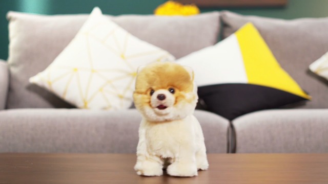 Amazon.com: CU-MATE Electronic Stuffed Walking Cats, Realistic