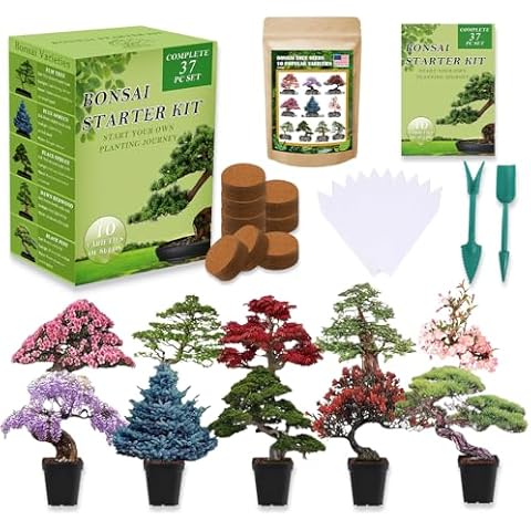Bonsai Tree Seeds Kit 10 Popular Varieties Soil Pots Plant Markers Bonsai Starter Kit with Grow Guide Cover