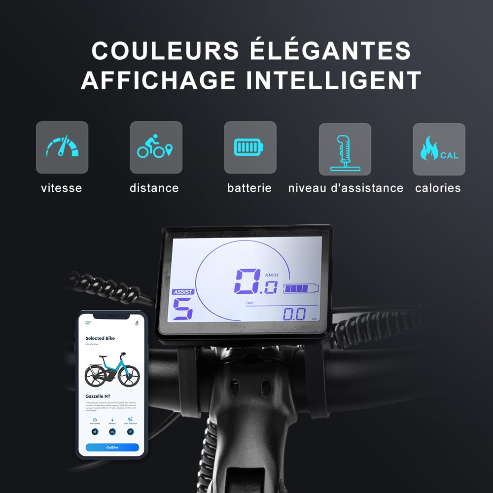 Vélo électrique 26" 26M208 E-Bike avec App, vélo de Trekking ou vélo de Ville avec Batterie Lithium 36V 12.5Ah pour Une gramde autonomie allant jusqu'à 100km,