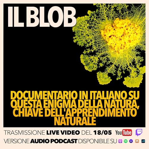 il Blob, enigma della scienza e segreto dell'apprendimento! Documentario completo in italiano (QuickTalk v07)