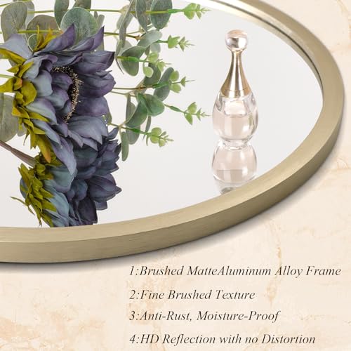 Image of AOAOPQ Mirror Wall for Bathroom Metal Brushed Frame Ative Wall Mounted Home Living Room Entryway Bedroom Bronze