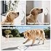 HOIDURY Bells for Dog Training to Go Outside, Wireless Puppy Dog Doorbell, Waterproof Vibration Sensor, Low Battery Warning, 14 Chimes, 4 Volume with Mute, 3W Speaker for Clear Sound, LED Alert