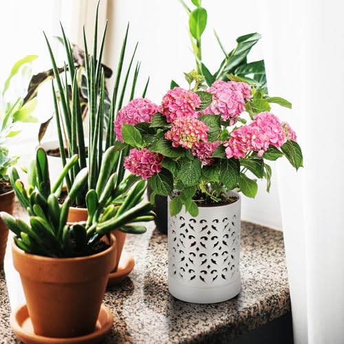 Pot à orchidées en terre cuite émaillée ajouré maison - 7