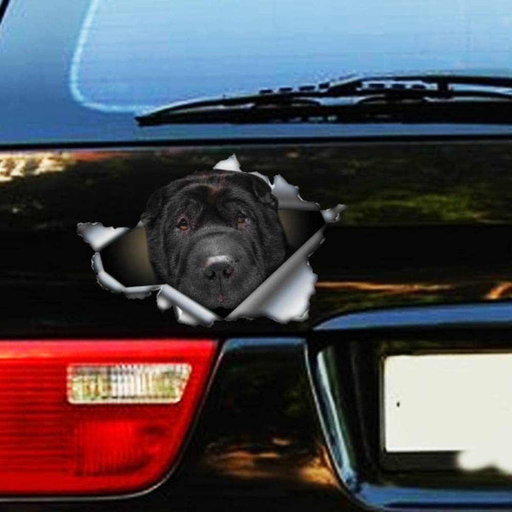 Adesivo "Cane A Bordo" Per Auto - Nero, 14x12cm | Decalcomania Per Vetri - Foto 5