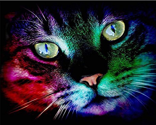 TianMai Hot New DIY 5D Diamond Painting Kit Crystals Diamond Embroidery Rhinestone Painting Pasted Paint By Number Kits Stitch Craft Kit Home Decor Wall Sticker Cover