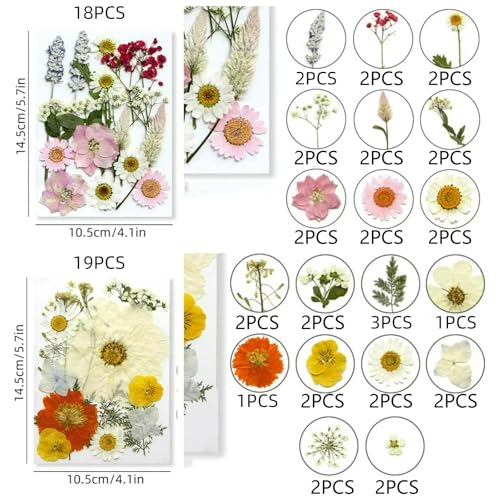 216 piezas Flores prensadas secas para manualidades miniatura 6