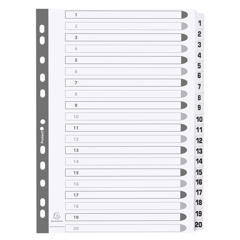 Exacompta 15 divisori cartoncino bianco 20 tacche numeriche 1-20 A4