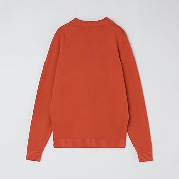 Amazon | [シップス] ALANPAINE: 14ゲージ コットン Vネック ニット 
