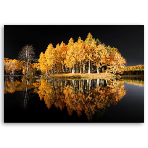 Lienzo decoración pared naturaleza, cuadro bosque otoñal reflejo lago 50x70