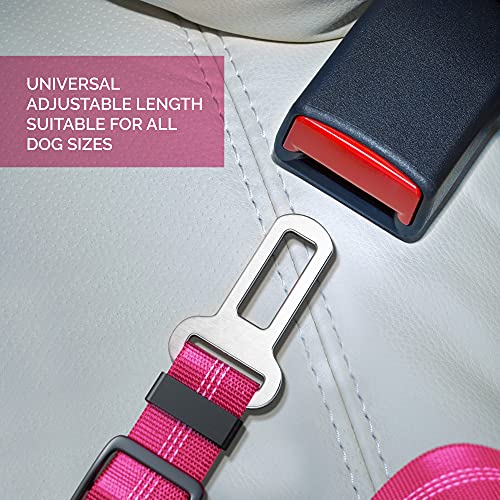 Seat Belt for Dogs with Elastic Bungee Buffer | Car Travel Accessories for Dogs Adjustible, Elastic (Pink)
