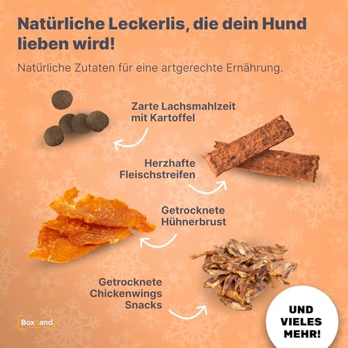 BOXILAND® Hunde Adventskalender 2025 [MIT 24 LECKERLIES] – Weihnachtskalender Geschenk – Geschenkidee Hunde (Hergestellt in DE)