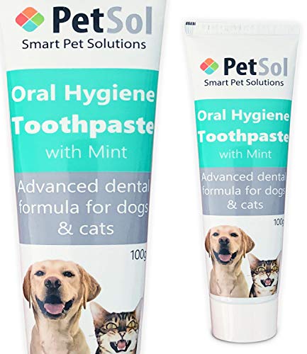 Petsol collar Clearance