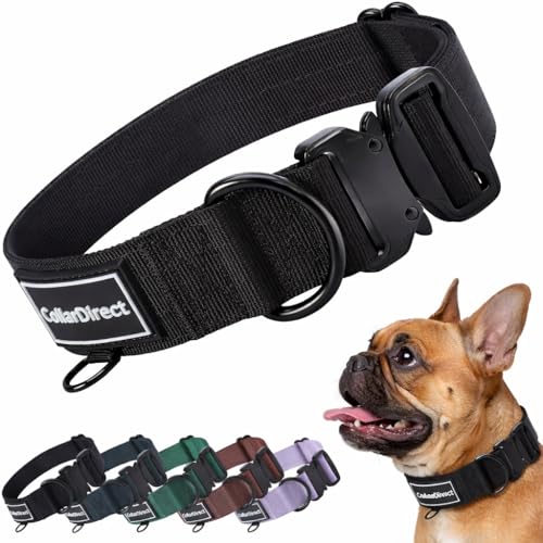 Robustes Hundehalsband für Große & Mittelgroße Hunde – Verstellbar, Doppellagiges Nylon, Metallschnalle, Reißfest & Ideal für Aktive Hunde (Schwarz, Klein (28-38 cm))