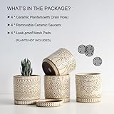 Gepege 4 Inch Small Indoor Succulent Ceramic Planter Pot with Drainage Holes and Saucers for...