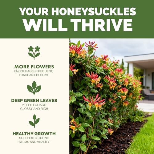 Fertilizante Líquido Honeysuckle 32 oz para Plantas miniatura 2